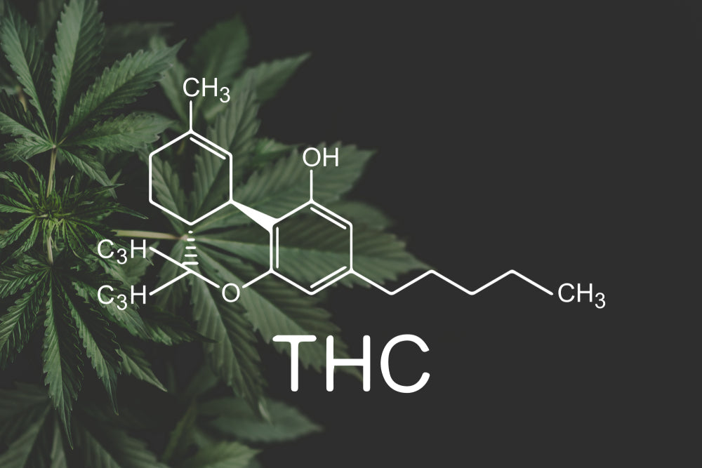 Debunking Common THC Myths: What You Should Know