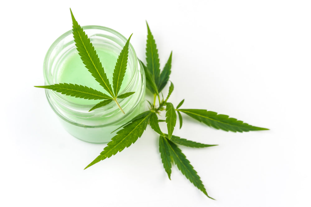 Hemp Plant Next To A Jar