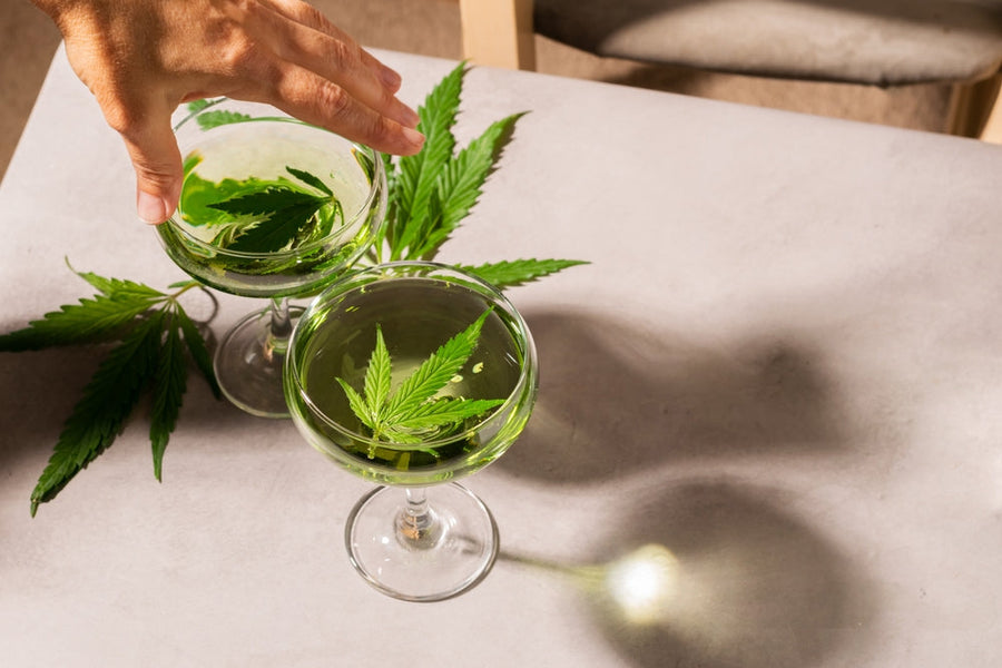 The High Standard: When Cannabis Culture Learned the Art of Subtlety