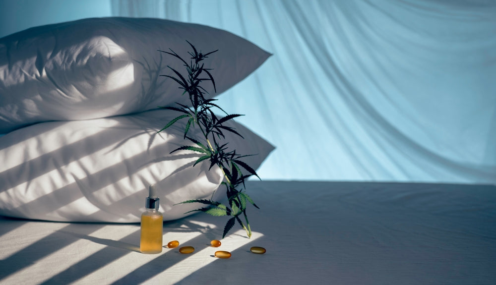 Hemp Plant Next To Pillows And Glass Dropper