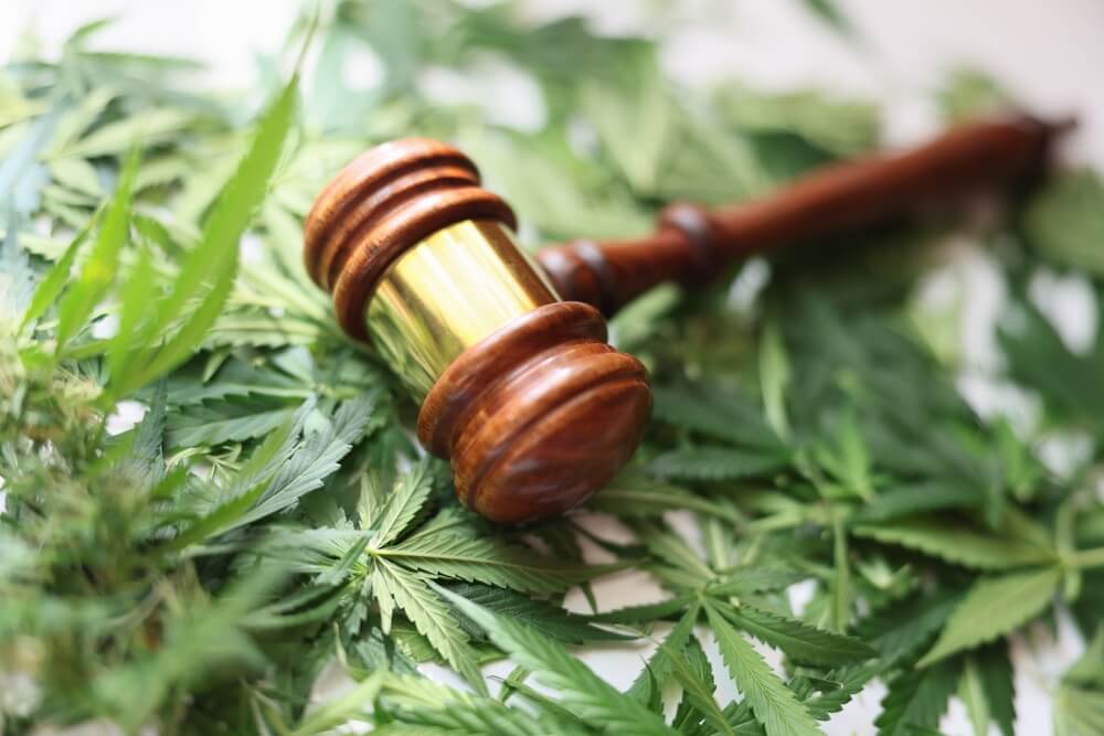 Gavel Laying In Hemp Leafs