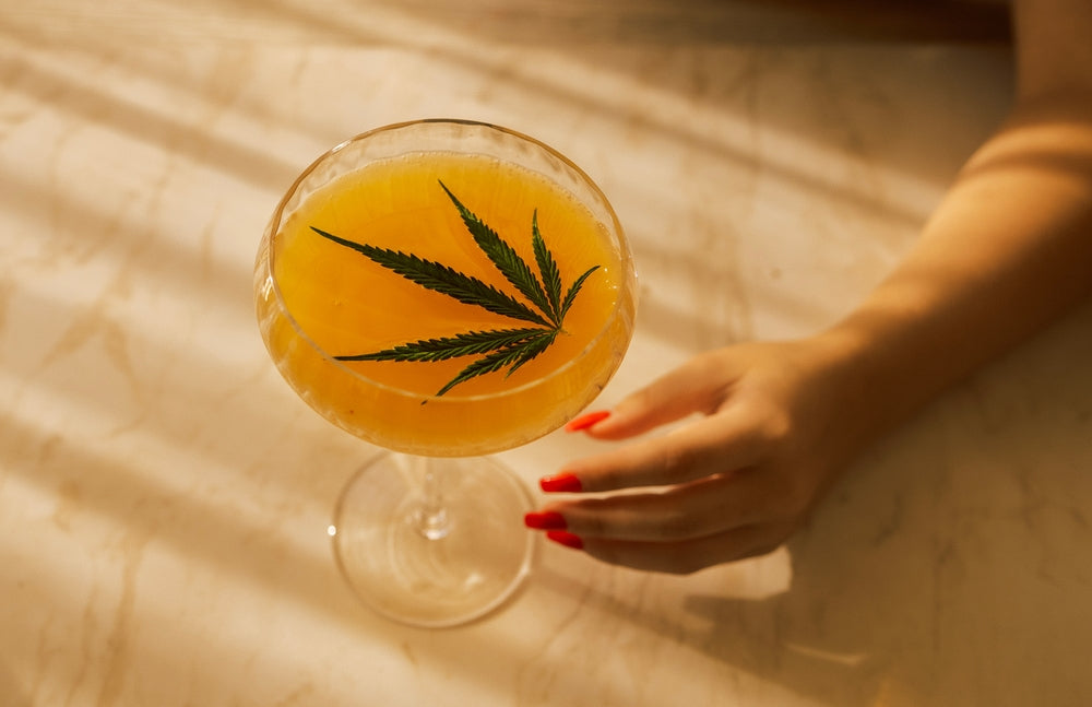 Hemp Leaf In Drink