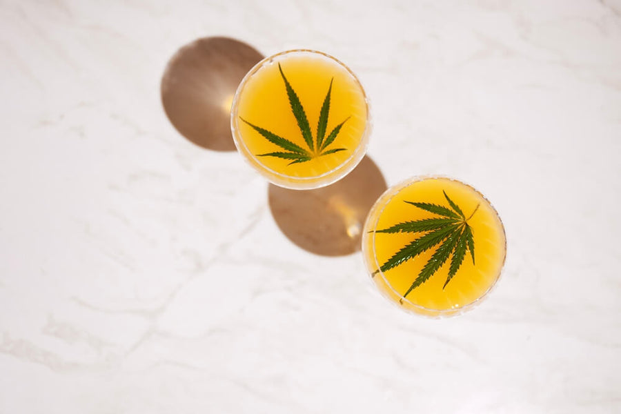 Hemp Leafs Inside Wine Glass