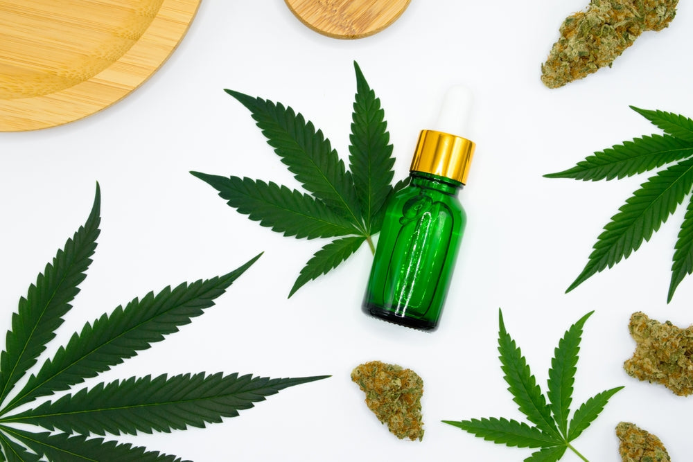 Hemp Plant Leaf Next to Glass Dropper