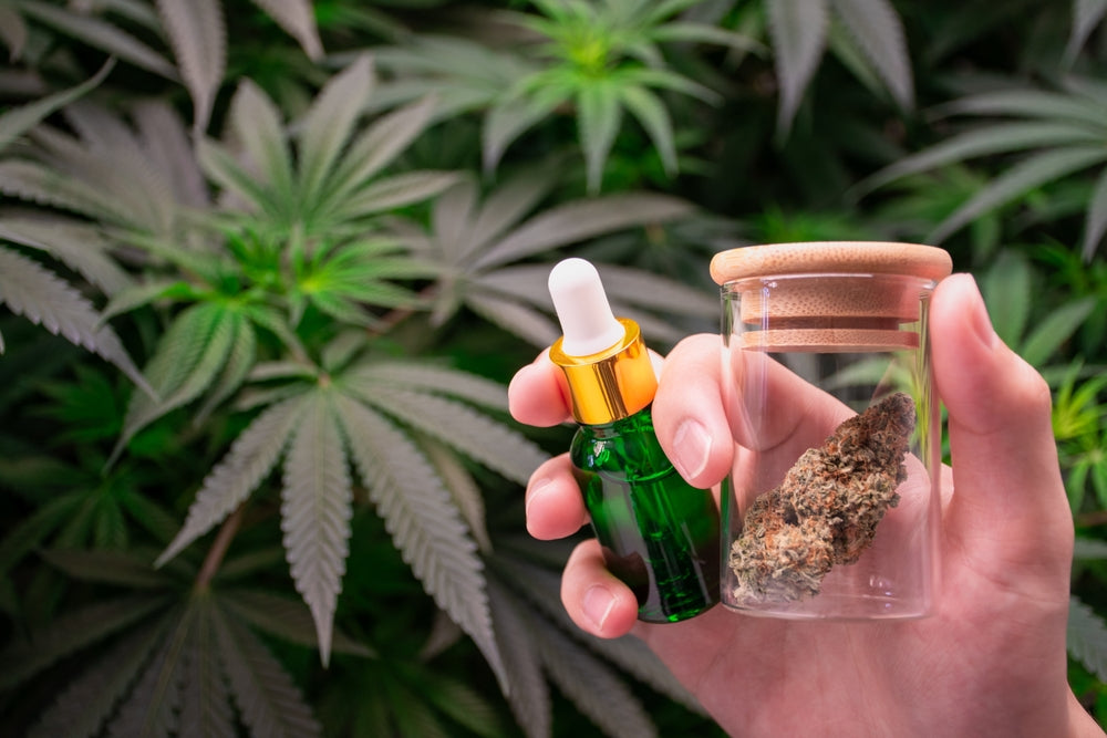 Glass Dropper Bottle With Hemp Plant In The Back