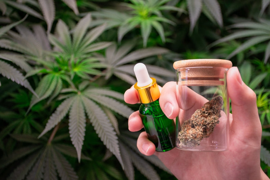 Glass Dropper Bottle With Hemp Plant In The Back
