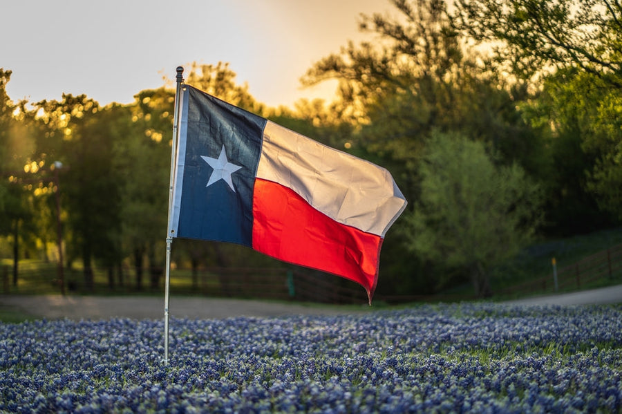 The Texas Hemp Shift: What It Means for THCa, Total THC, and Your Favorite IGETHI Drinks