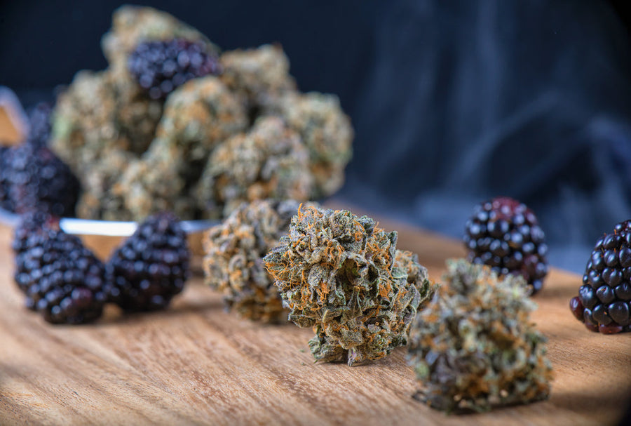 Berries Next To Herb Hemp