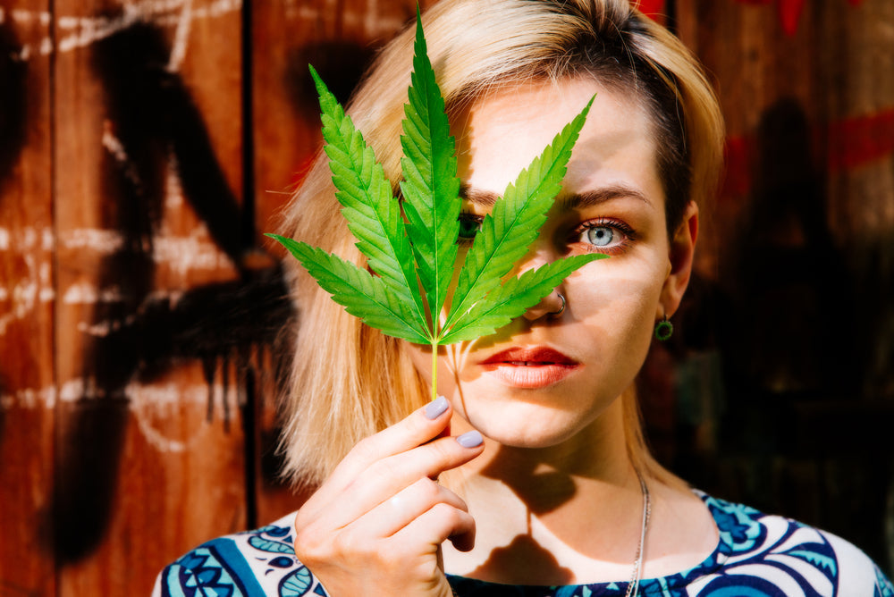 Lady Holding Hemp Leafs In Front Of Face